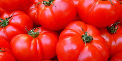 Conseils de Salubrité pour les Tomates