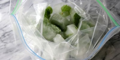 Conserver la Menthe en la Congelant