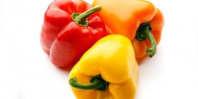 Comment Bien Conserver mes Légumes