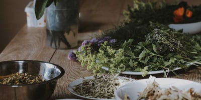 Coronavirus, Influenzavirus, Rhinovirus, Comment Fortifier nos Défenses Naturelles ? Coronavirus, Influenzavirus, Rhinovirus, Comment Fortifier nos Défenses Naturelles ?