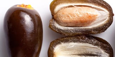 Dates : Le Plus Sain de Fruits sur la Planète qui Peut Guérir de Nombreuses Maladies