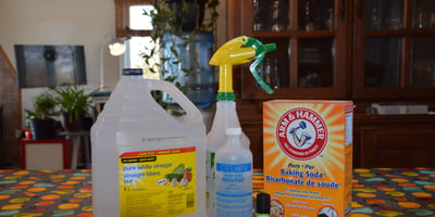 Désinfectant Naturel pour Nettoyer les Surfaces