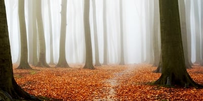 Dix Trucs pour vous Préparer à Traverser L'automne Dix Trucs pour vous Préparer à Traverser L'automne