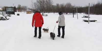 En Période de Crise, Marcher Vers le Bonheur En Période de Crise, Marcher Vers le Bonheur