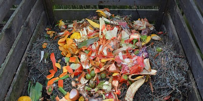 Faire un Compost, c’est Écologique et très Bon pour le Jardin