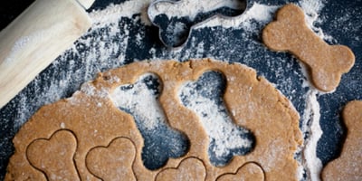 Faites des Gâteries Santé pour votre Chien!
