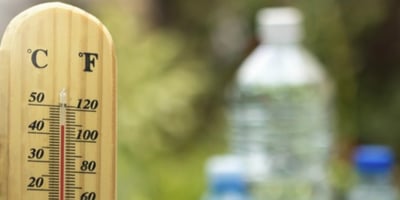 Fortes Chaleurs : Trois Astuces pour Bien les Surmonter