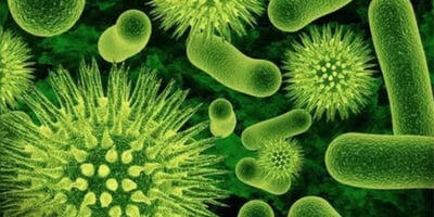 Gastro-entérite - Tout Savoir Gastro-entérite - Tout Savoir