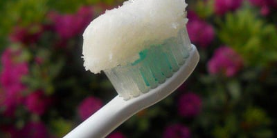 Huile de Coco: Elle Protège Mieux que N’importe Quel Dentifrice Huile de Coco: Elle Protège Mieux que N’importe Quel Dentifrice