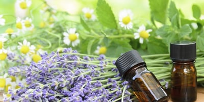 Les Multiples Bienfaits des Huiles Essentielles