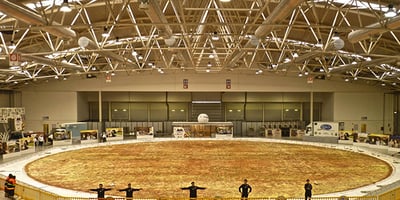 Insolite: La Plus Grosse Pizza au Monde