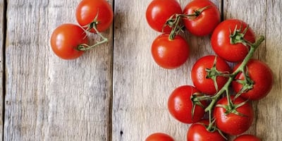 La Tomate, Reine de la Cuisine La Tomate, Reine de la Cuisine