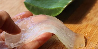 L’aloe Vera Médecine Miracle ?