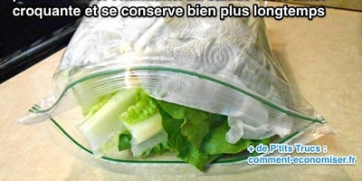L'Astuce Géniale Pour Conserver de la Salade au Frigo Plus Longtemps