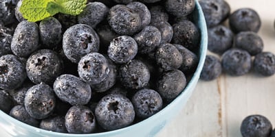 Le Bleuet, une Bombe Antioxydante! Le Bleuet, une Bombe Antioxydante!