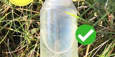 Le Désinfectant 100% Naturel Qui Remplace l'Eau de Javel Le Désinfectant 100% Naturel Qui Remplace l'Eau de Javel