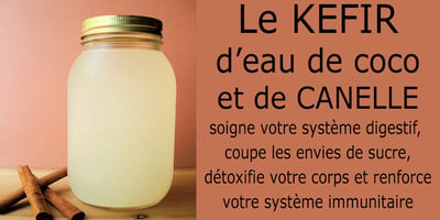 Le Kéfir d’eau de Coco Peut Aider à Guérir L’intestin, Améliorer la Fonction Immunitaire et Prévenir le Cancer. Voici Comment le Préparer!
