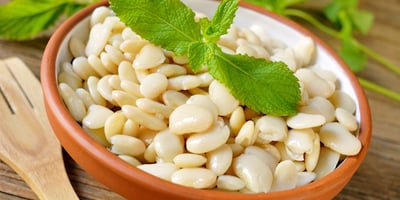 Le top 7 des Aliments les plus Riches en Fer