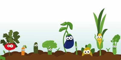 Les 10 Fruits et Légumes les plus Contaminés par les Pesticides