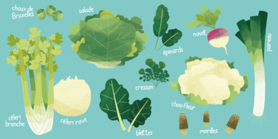 Les 10 Légumes de Saison à Consommer en Mars