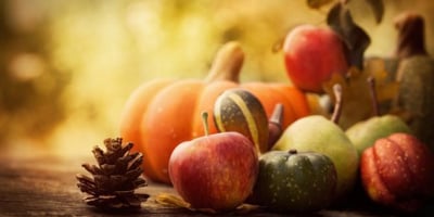 Les Aliments D’automne pour Carburer avant L’hiver Les Aliments D’automne pour Carburer avant L’hiver