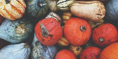 Les Courges, On Gagne à les Redécouvrir