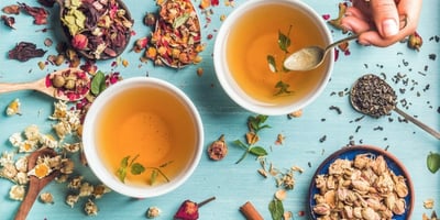 Les Plantes pour Tisanes et Infusions Les Plantes pour Tisanes et Infusions