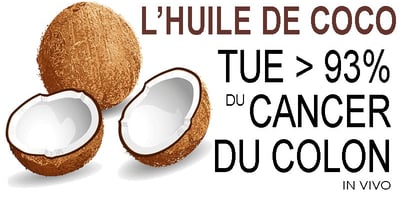 L’huile de Noix de Coco Tue >93% des Cellules de Cancer du Côlon In Vivo