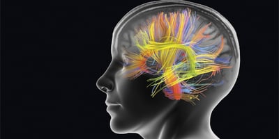 Marcher Rend le Cerveau Plus Créatif et Plus Heureux