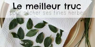 Meilleur Truc pour Sécher ses Fines Herbes