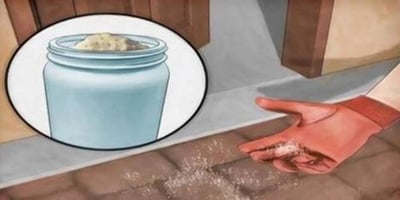 Mettez du Sel dans Votre Maison : Voici Pourquoi c’est si Incroyable! Mettez du Sel dans Votre Maison : Voici Pourquoi c’est si Incroyable!