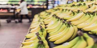 Mobiliser la Population Québécoise pour Réduire le Gaspillage Alimentaire Mobiliser la Population Québécoise pour Réduire le Gaspillage Alimentaire