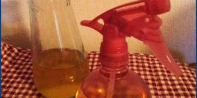 Nettoyant Ménager aux Agrumes Nettoyant Ménager aux Agrumes