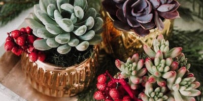 Noël 5 Cadeaux de Dernière Minute