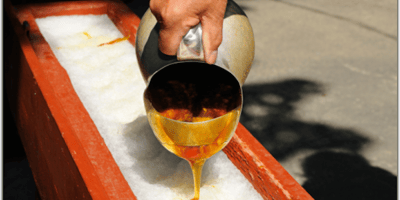 SORTIES : TOUT POUR SE SUCRER LE BEC !