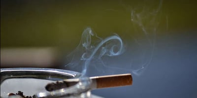 Odeur de Tabac dans la Voiture, 10 Trucs pour L'enlever