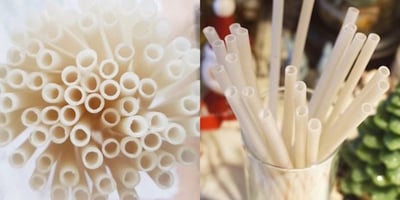 Pailles comestibles : Des Pailles à Base de Riz sont Fabriquées dans une Entreprise Coréenne