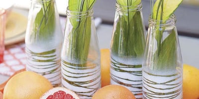 Déco 10 Minutes : Verdure en Pots