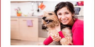 Pourquoi mon Chien saute-t-il Toujours sur les Invités?