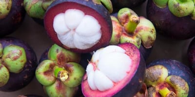 Pourquoi Vous Devez Absolument Manger du Mangoustan ?