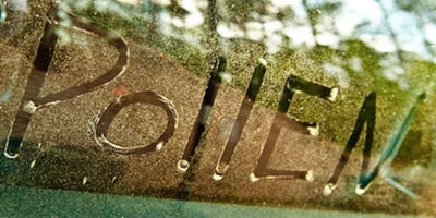 Que Faire Contre l'Allergie au Pollen ? 10 Gestes Simples à Connaître
