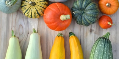 Quelle est la Différence entre une Courge et une Courgette ?