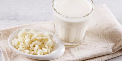 QU’EST-CE QUE LE KÉFIR? QU’EST-CE QUE LE KÉFIR?