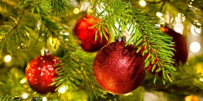 Sapin de Noël : Histoire et Origine Sapin de Noël : Histoire et Origine