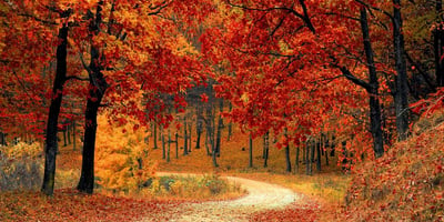 Top 5 Parcs Nationaux où Aller Admirer les Couleurs D'automne!