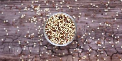 Tout Savoir sur le Quinoa