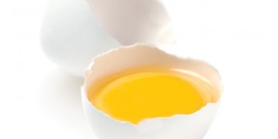 Tout sur le Cholestérol Tout sur le Cholestérol