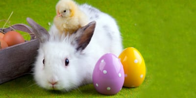 Trucs et Astuces pour Préparer Pâques Trucs et Astuces pour Préparer Pâques