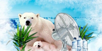 Trucs et Astuces pour Survivre dans un Appart sans Clim par temps de Canicule Trucs et Astuces pour Survivre dans un Appart sans Clim par temps de Canicule