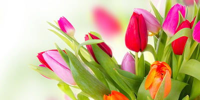 Un Cadeau tout en Fleurs... pour Pâques Un Cadeau tout en Fleurs... pour Pâques